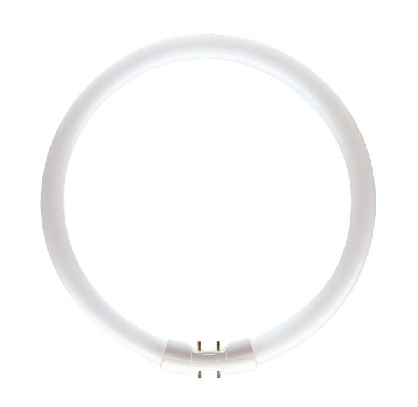 Osram Fluorescent Circpar Lamp FC 22W/840 - OUTLET LICHTBRON - TL5 22W840